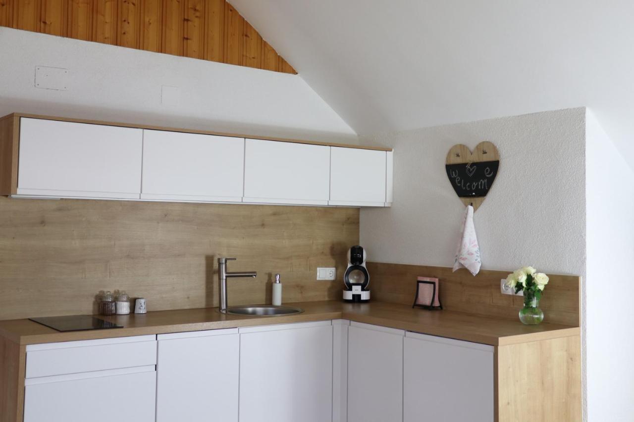 Lusht'n Apartma Apartment Zirovnica