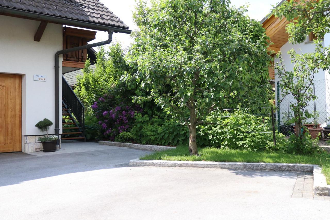 Lusht'n Apartma *